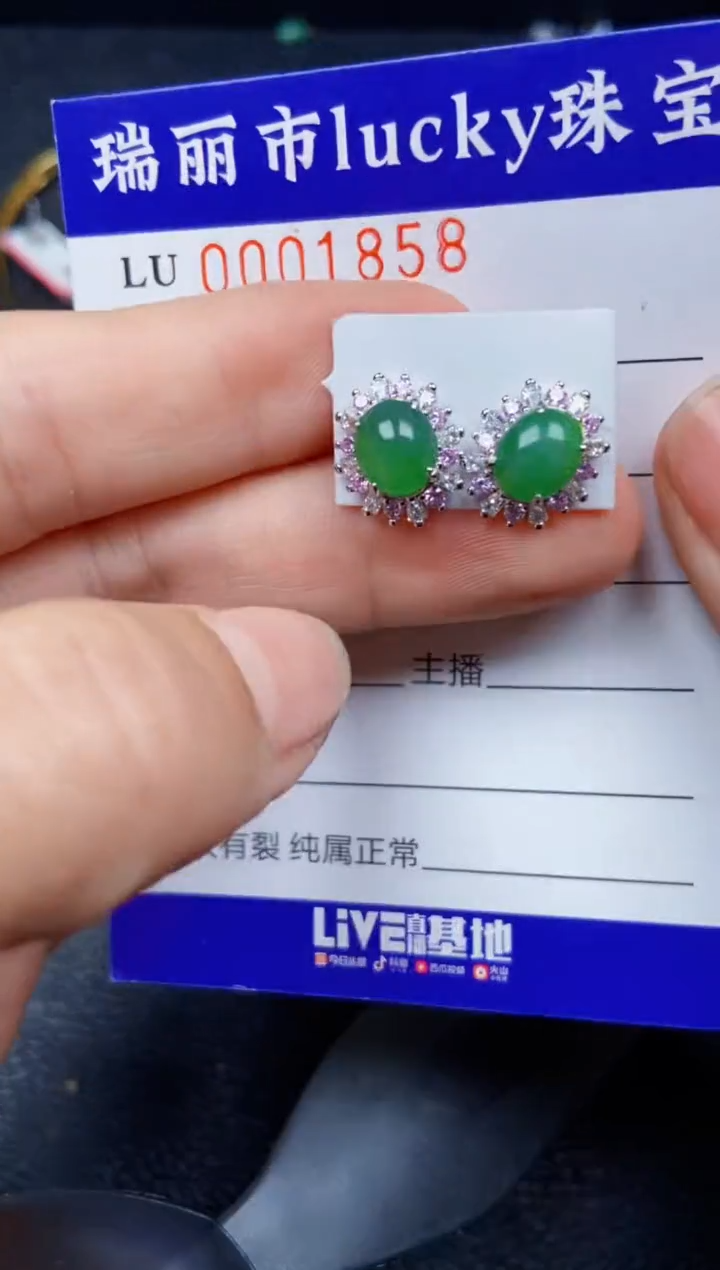 【闪购商品】翡翠颈饰银S925镶嵌1858