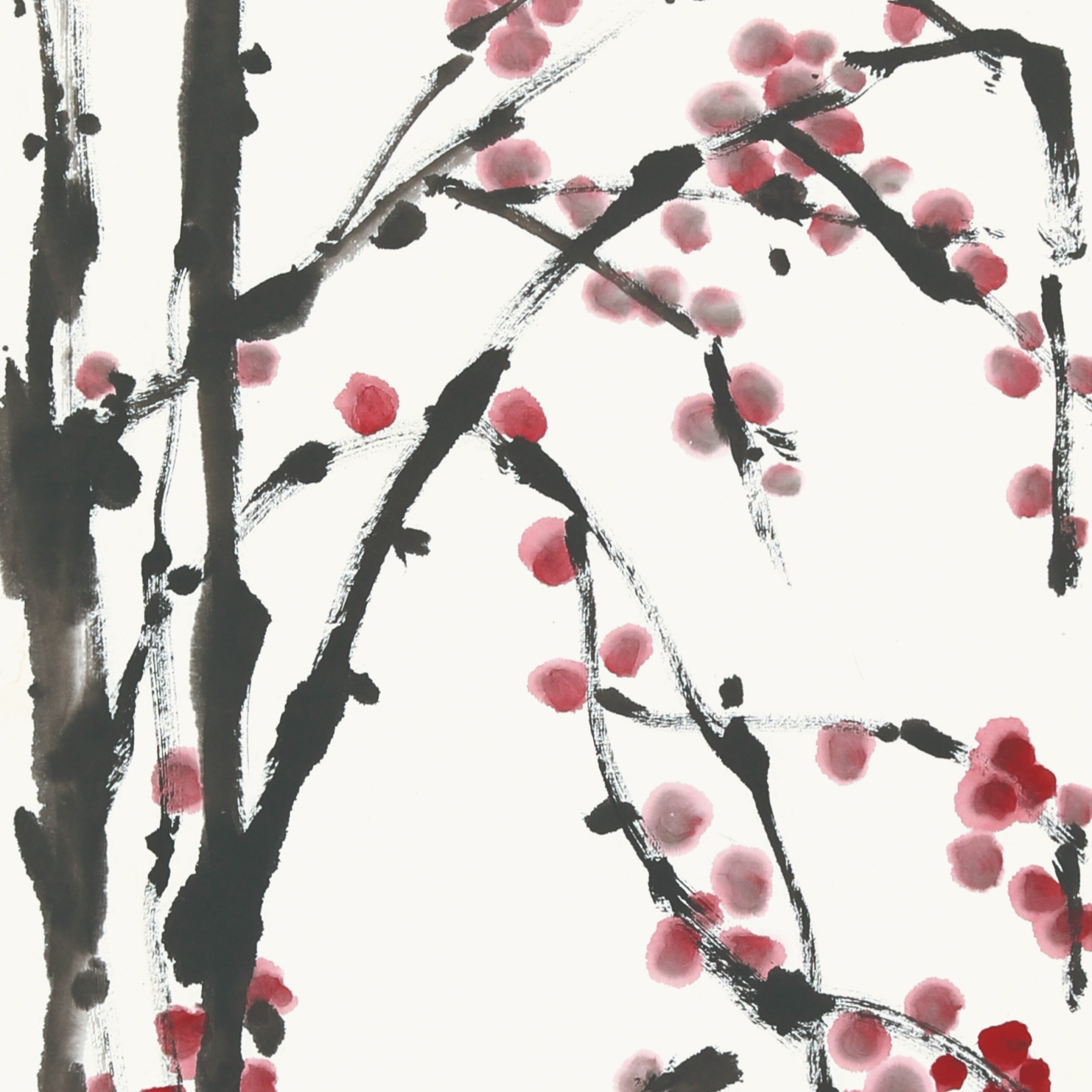 《梅兰竹菊》云门翁