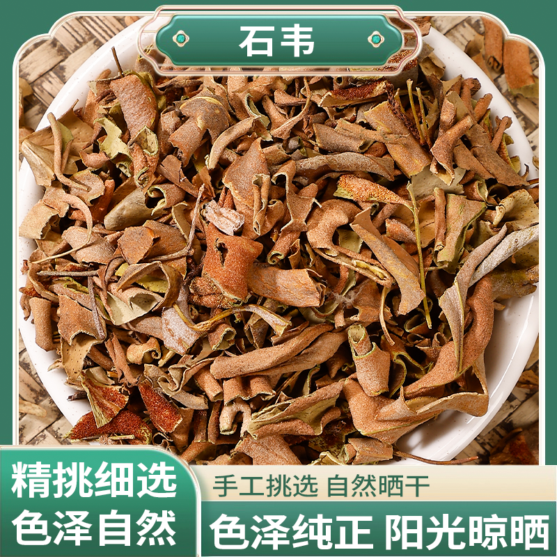 正宗精选好货【石韦】