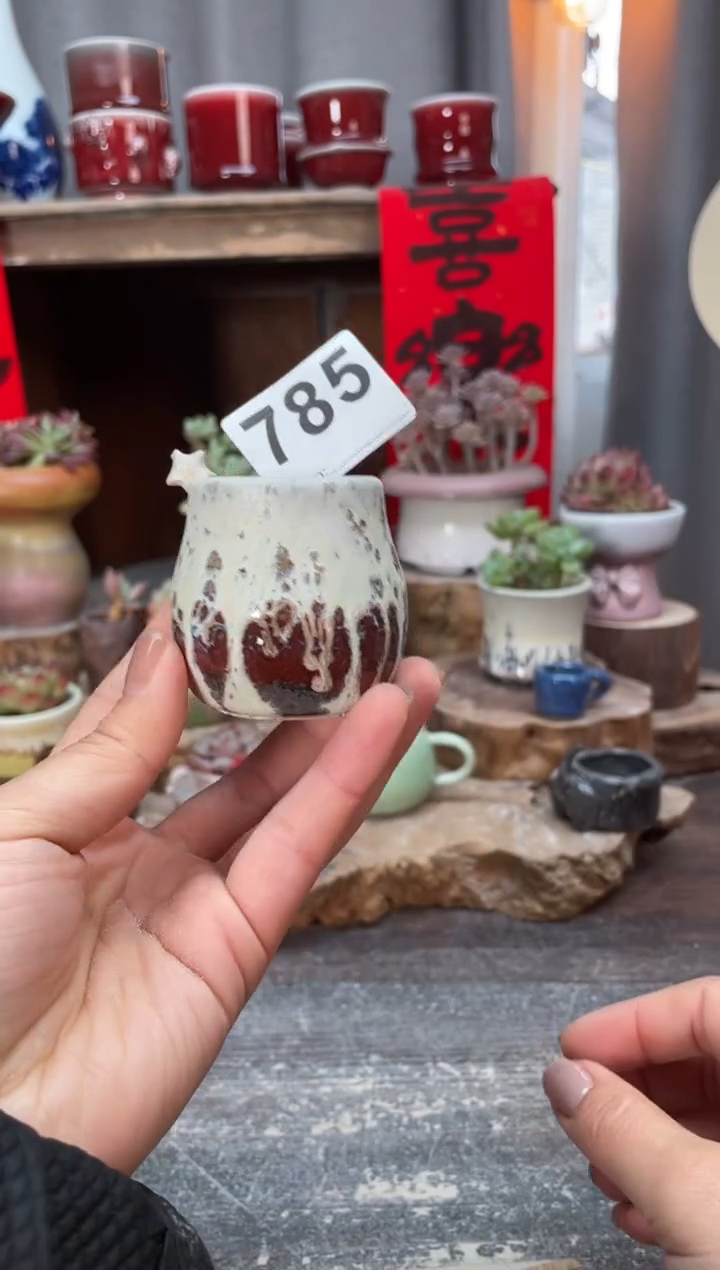 【闪购商品】摆件784知木小芳花盆