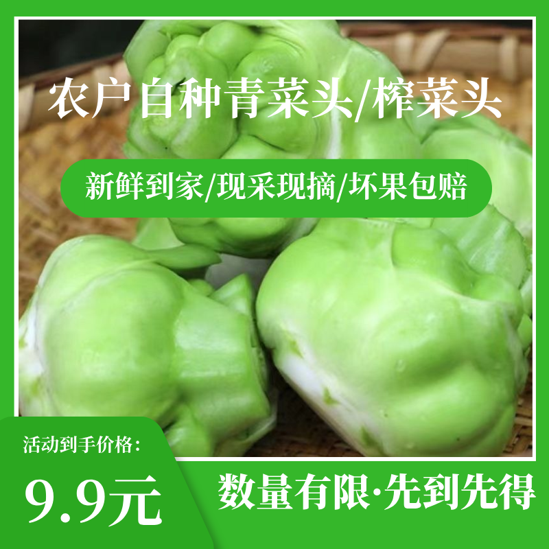 （现挖榨菜头）农家自种榨菜头新鲜蔬菜大头菜清炒下火锅腌制咸菜