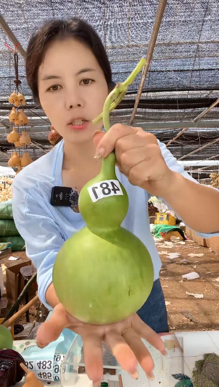 481天然葫芦摆件 一物一拍龙头不保售后