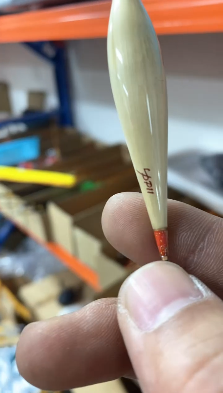 大展宏图3支 带壳芦苇 