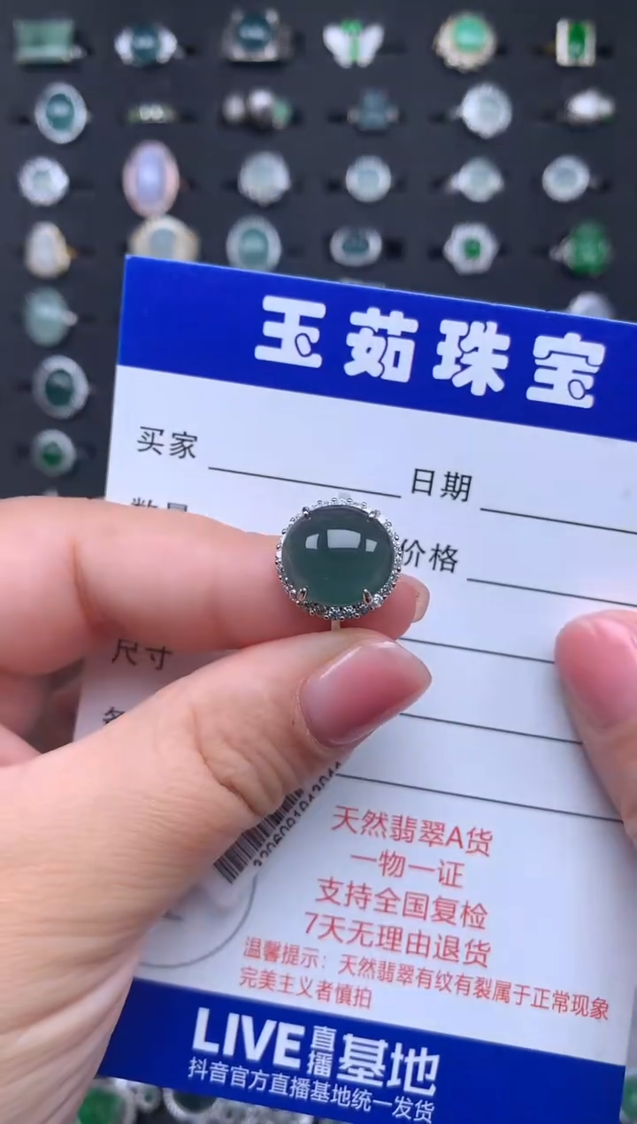 【闪购商品】翡翠颈饰银S925镶嵌324234