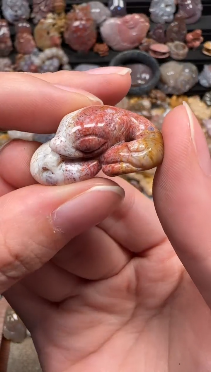 颈饰未镶嵌硅化珊瑚（珊瑚玉）171