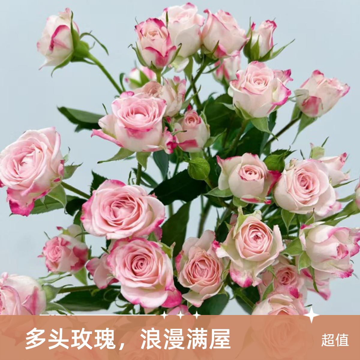 多头玫瑰-5支折射玫瑰 同城派送 1-2小时送达