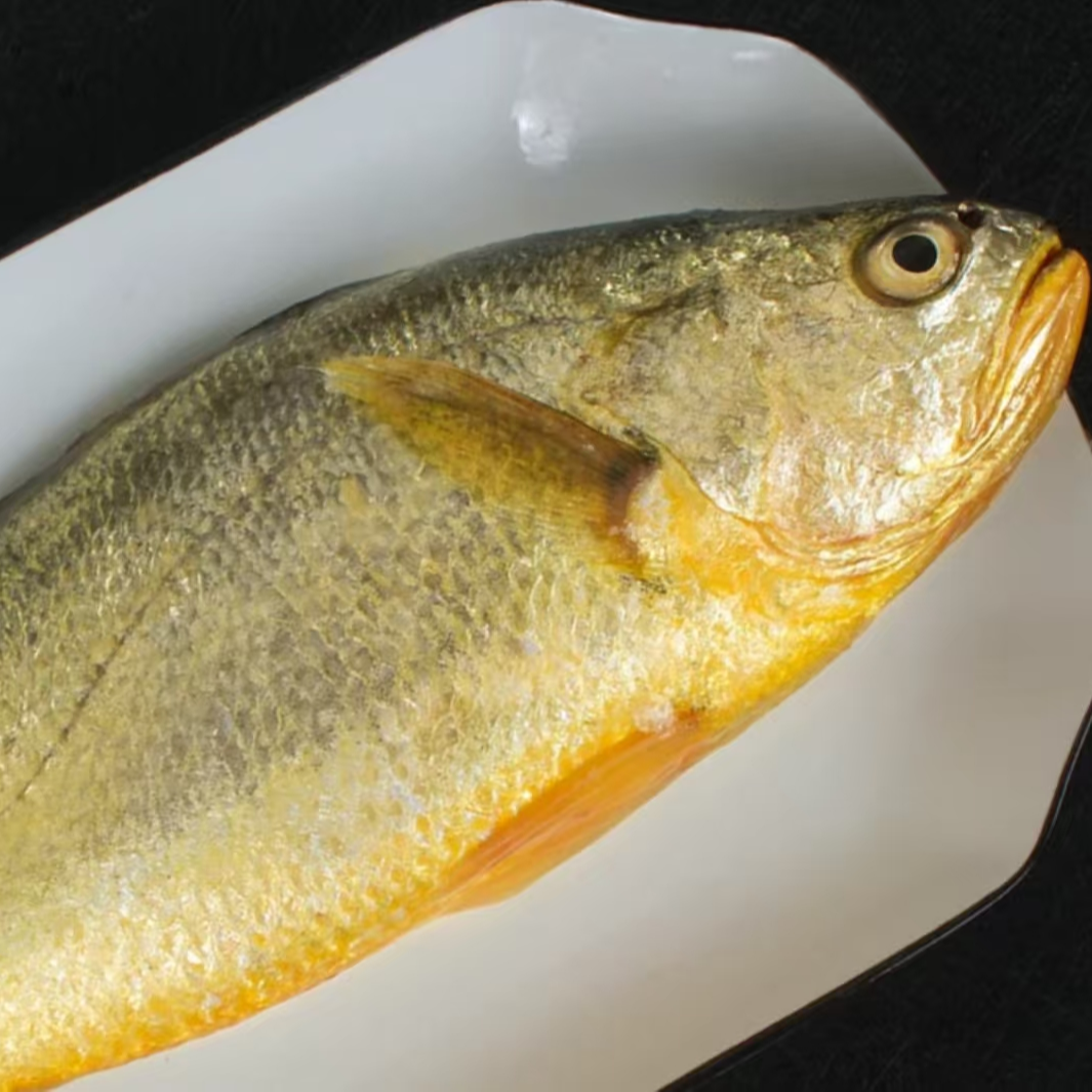 黄花鱼 现称  顺丰包邮直达