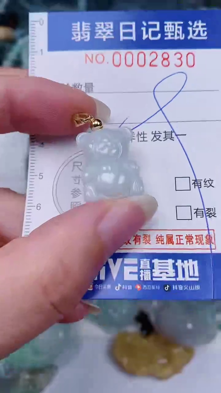 翡翠未镶嵌颈饰00002830
