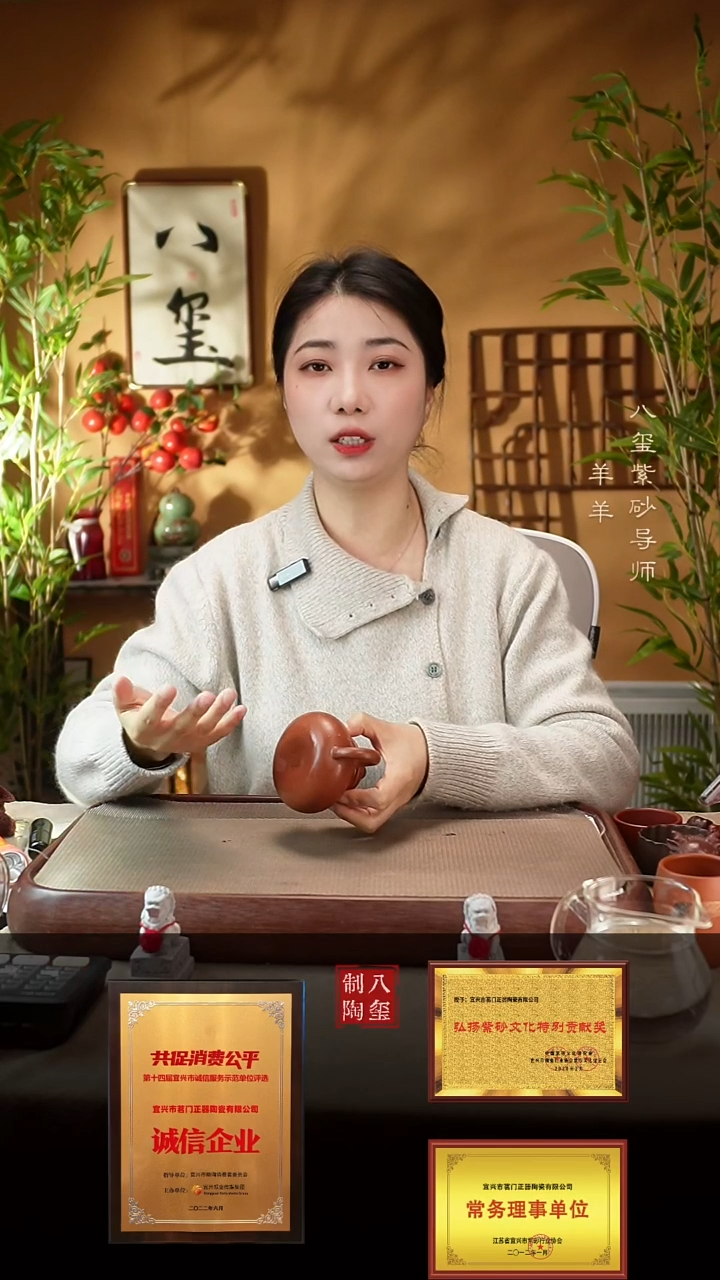 【闪购商品】紫砂茶壶降坡泥容天