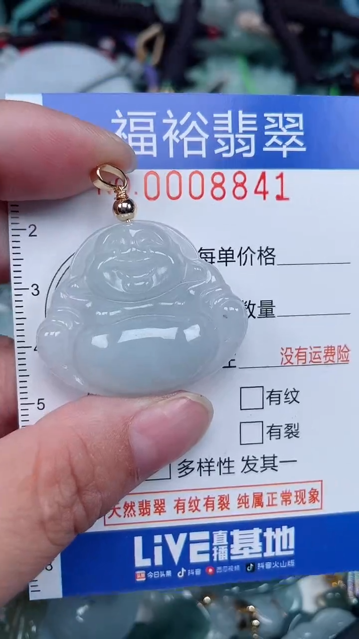 颈饰未镶嵌翡翠...0008841