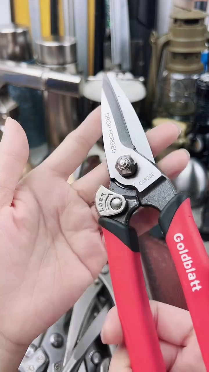 瓷片瓷片东京很热杂货正品保证