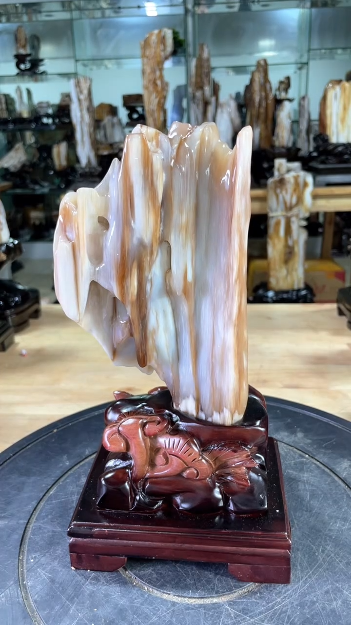 【闪购商品】硅化玉珠宝奇石未镶嵌320