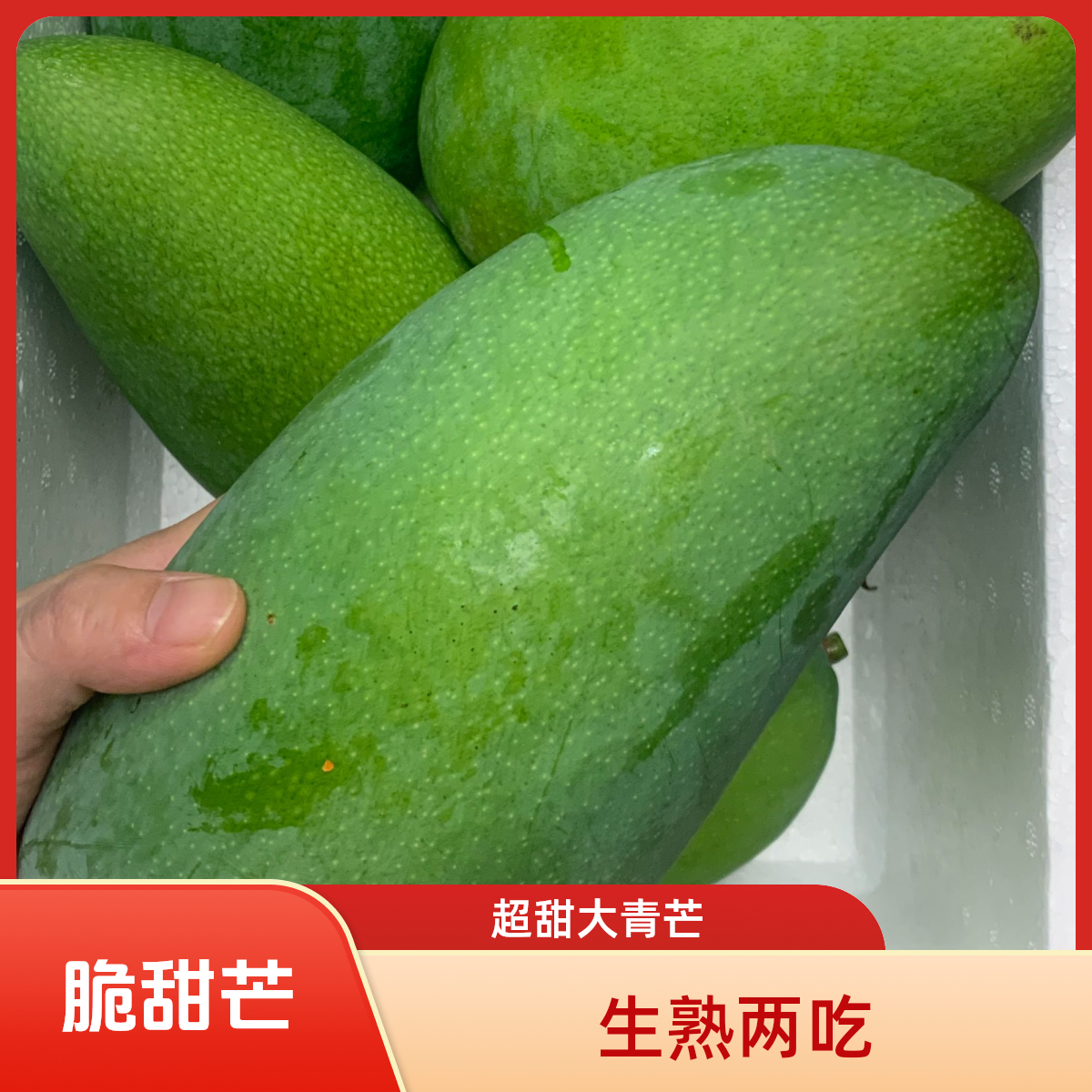 【生熟两吃】超甜大青芒酸嘢脆爽脆甜肉厚送椒盐料包