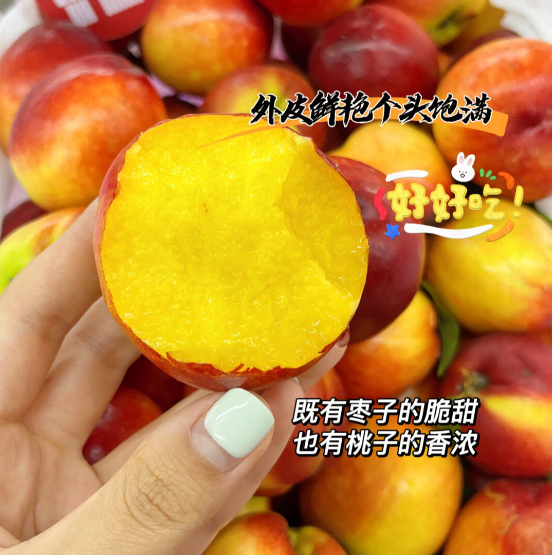 果切只发新疆珍珠枣油桃到手5斤！应季水果香嫩多汁次日达新鲜水果