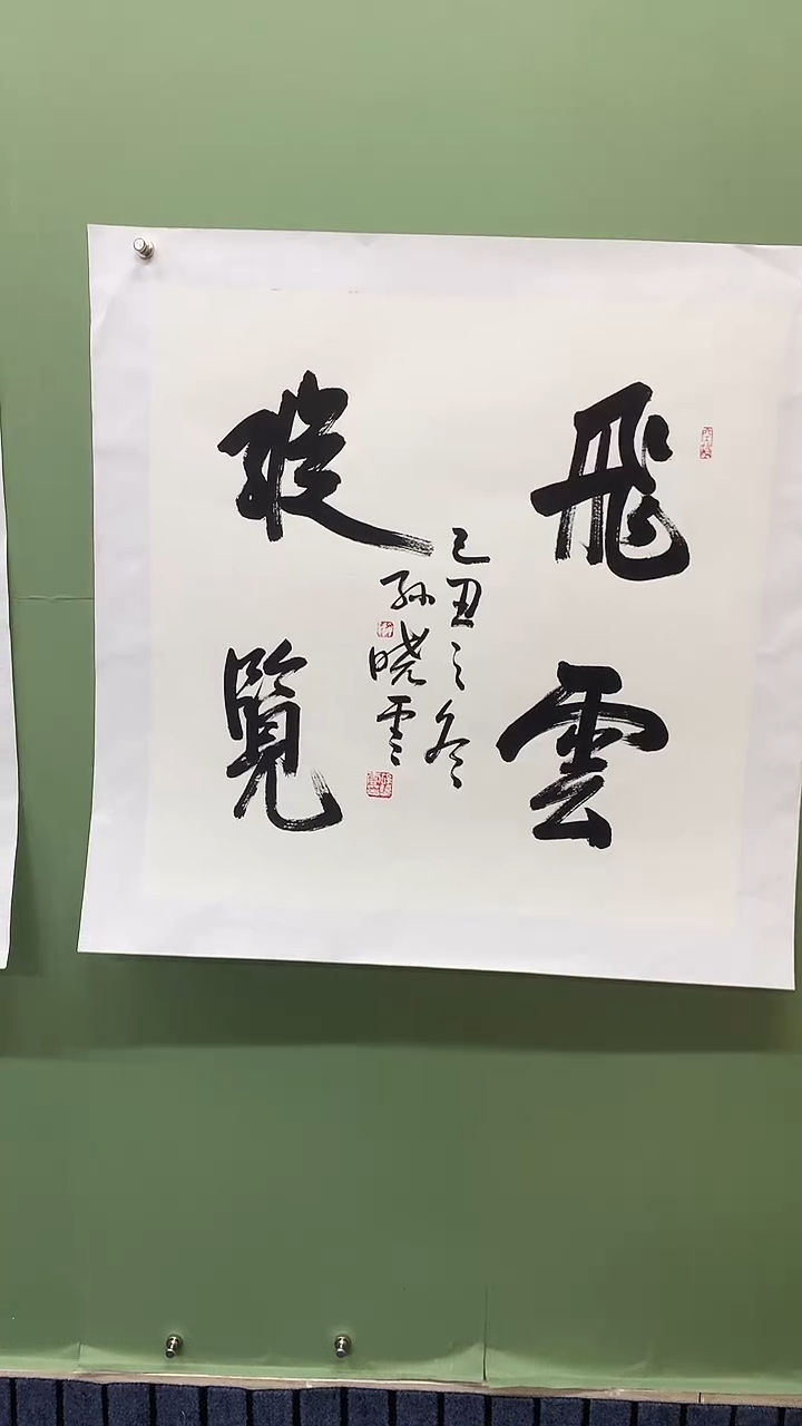 竖款精品四尺斗方书法，飞