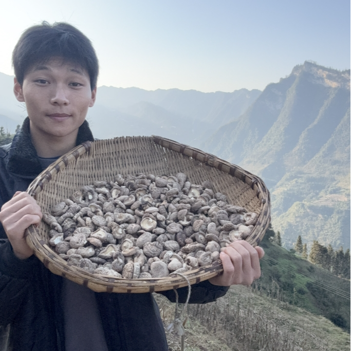 高山农家香菇干货