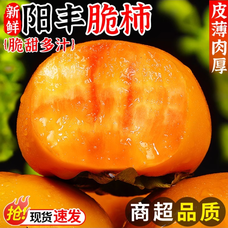 山西阳丰脆柿新鲜现摘脆甜新鲜水果脆皮巧克力柿应季水果