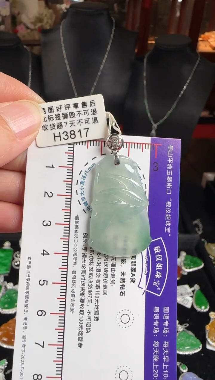 颈饰未镶嵌翡翠H3817竹报平安