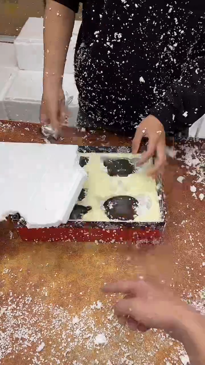 瓷片其他其他其他其他