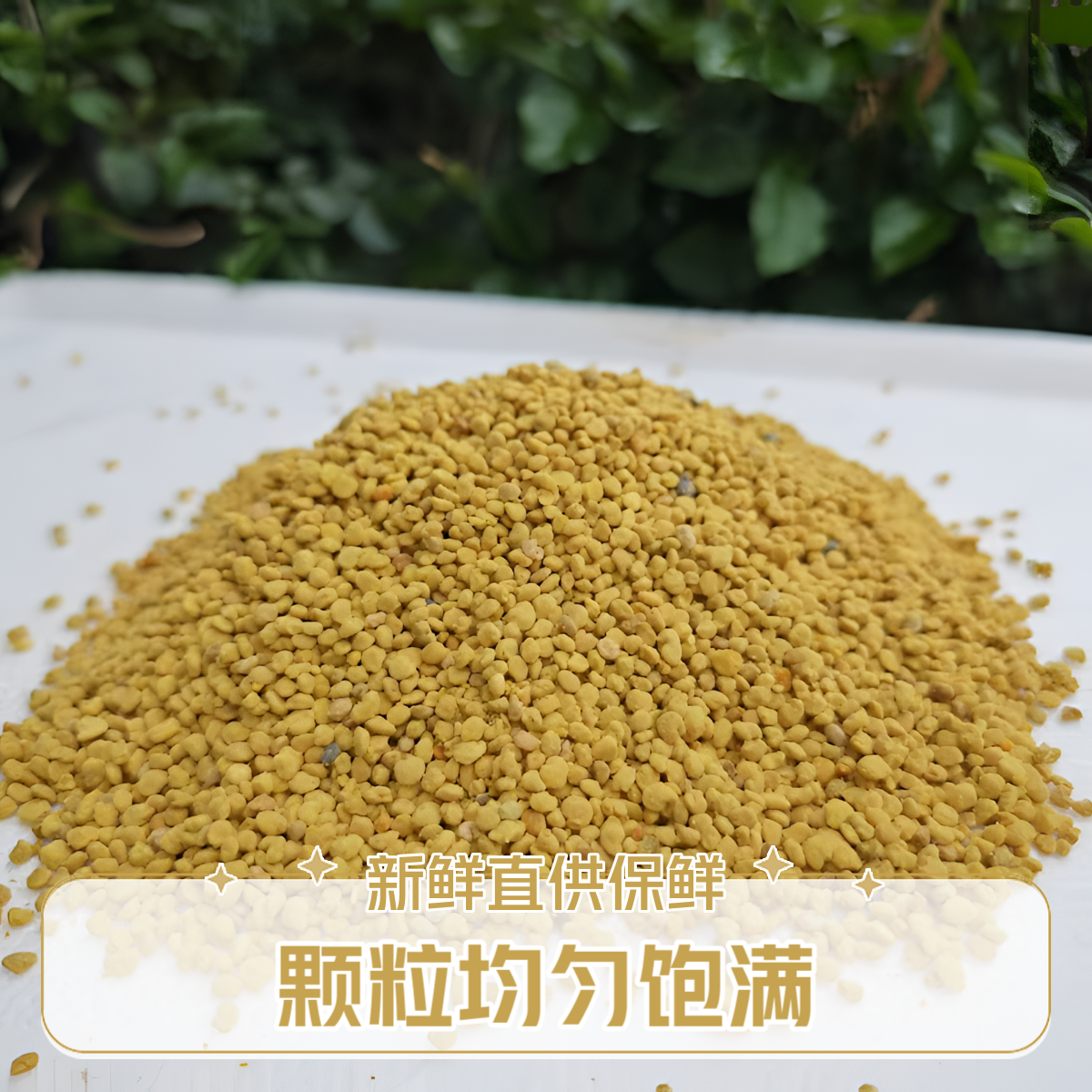 优质油菜杂粉蜜蜂专用补充口粮饲料