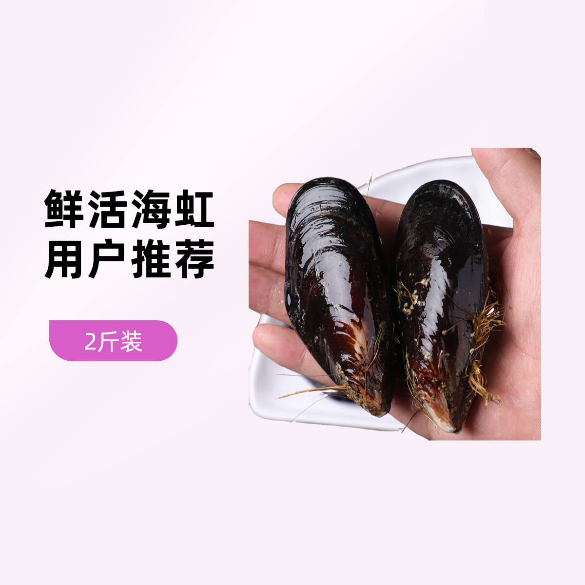 大海虹 2斤