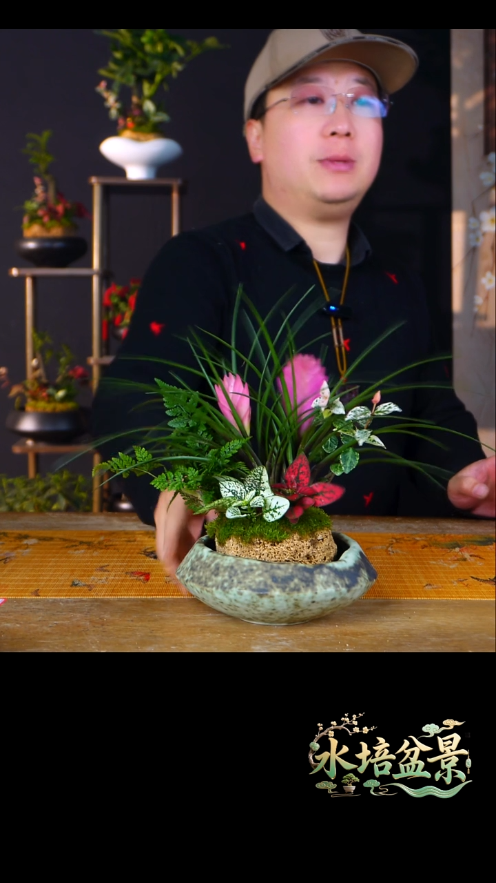 石云社一物一拍组合盆栽9