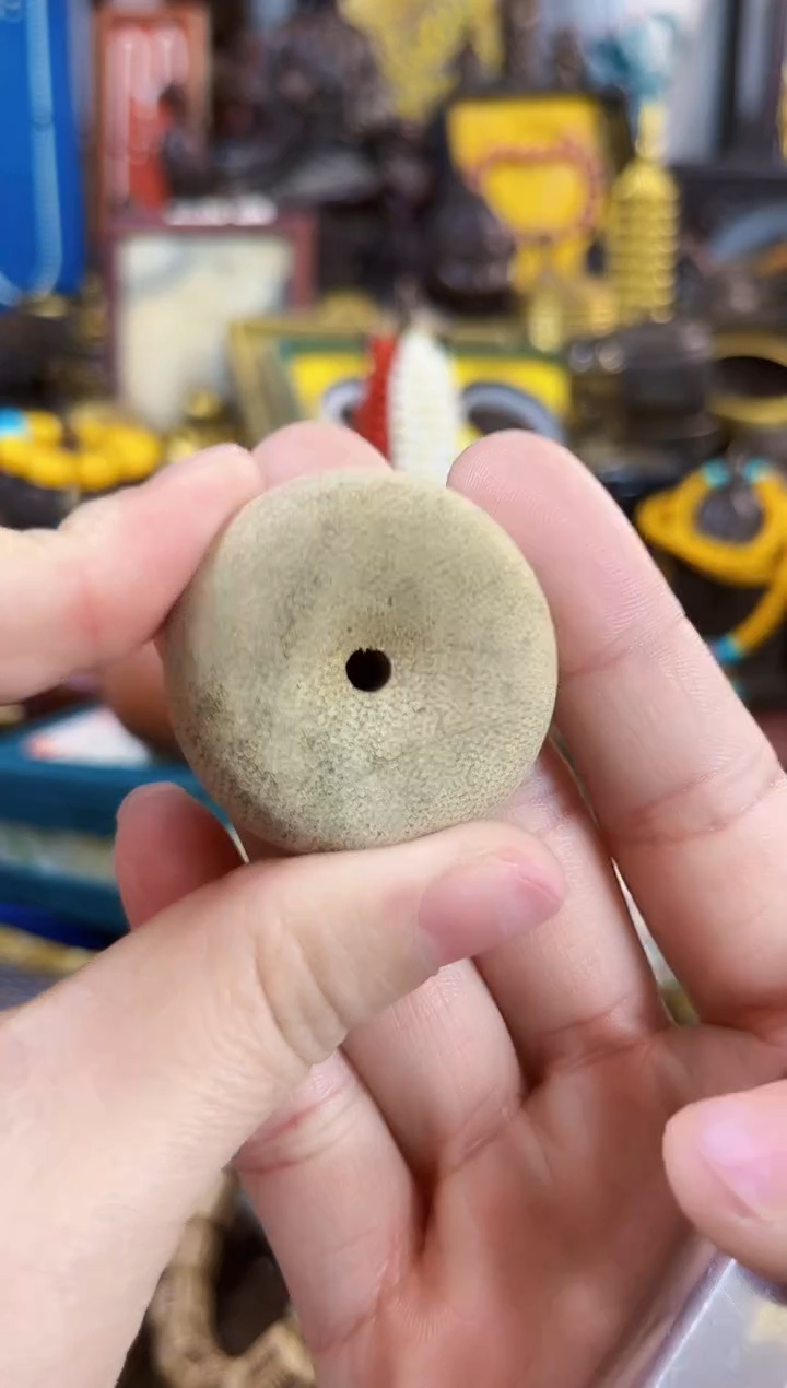 【闪购商品】风车木（黑檀木）【闪购商品闪购商品】