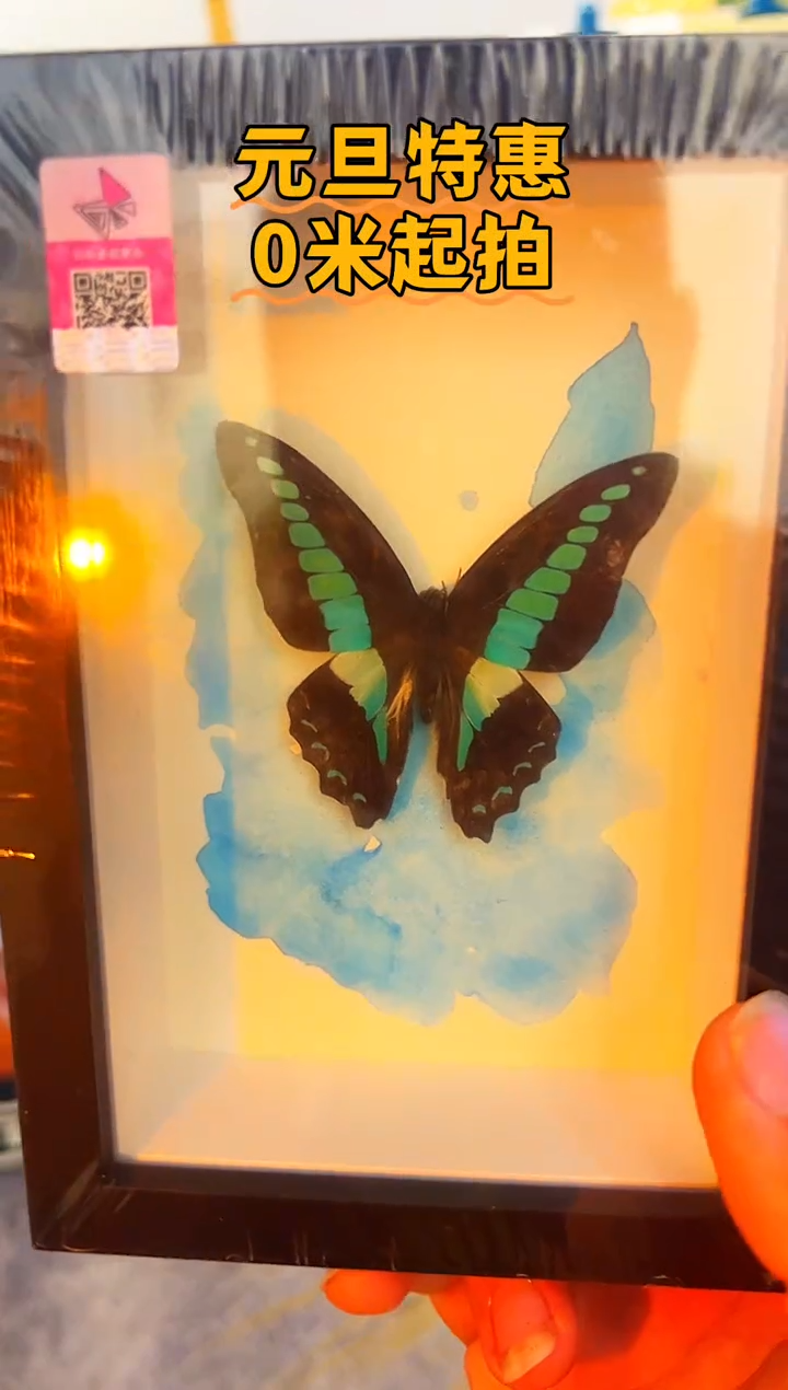 有机玻璃353535355