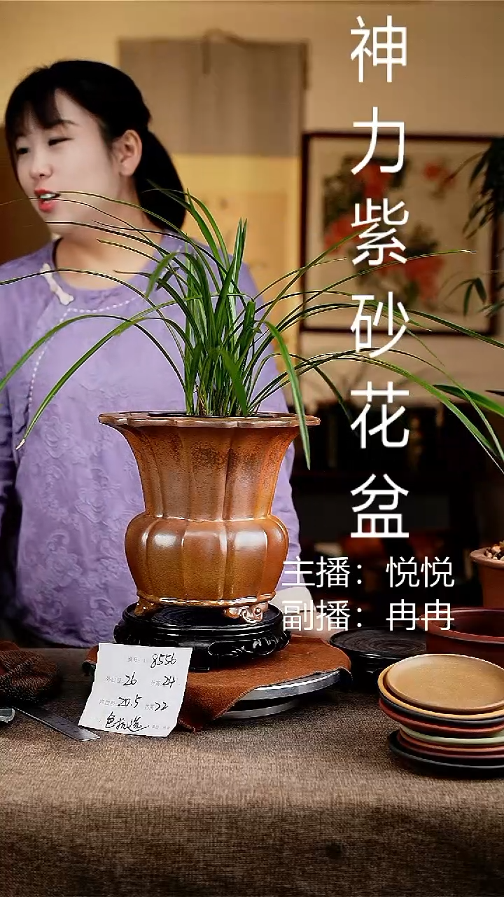 紫砂花盆花卉工艺8556+s