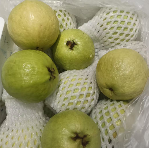 芭乐约1斤 *约1斤