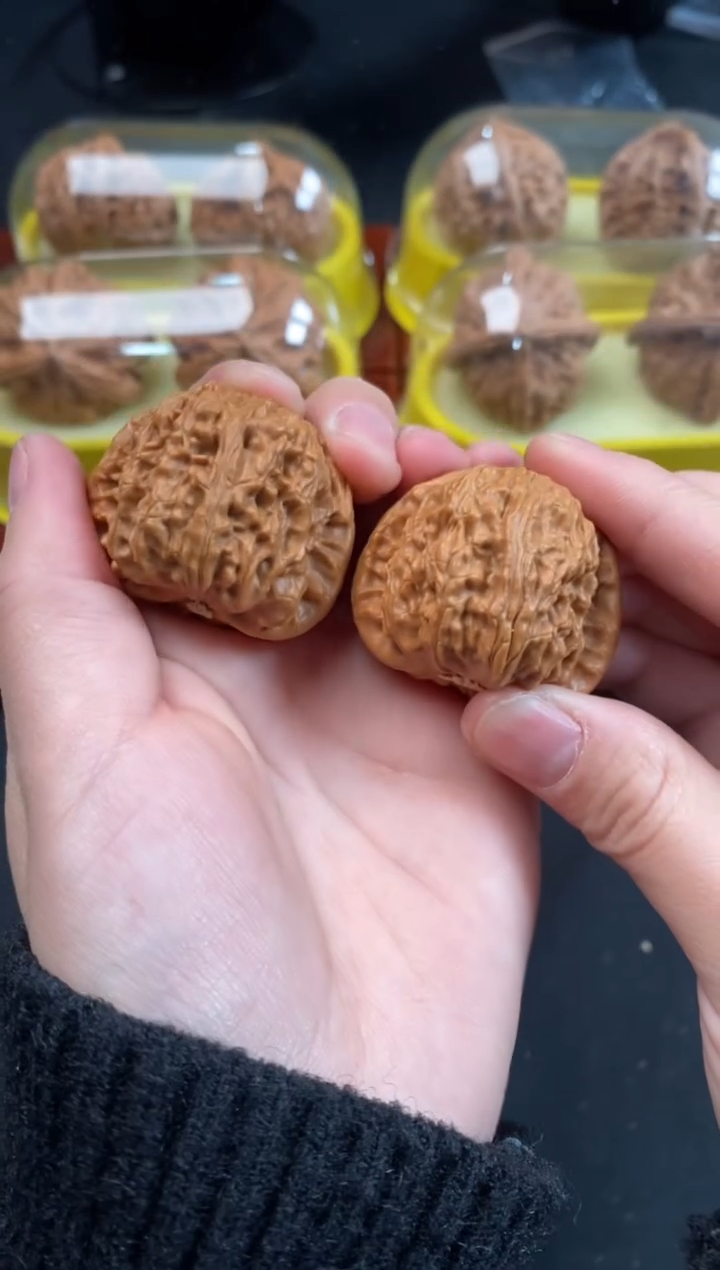 把件文玩核桃白狮子37尺A358