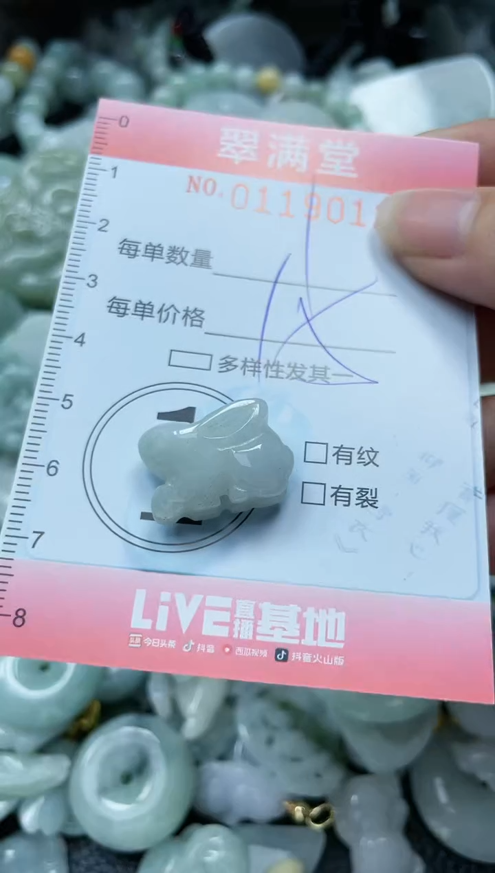 【闪购商品】翡翠未镶嵌颈饰闪购0119012