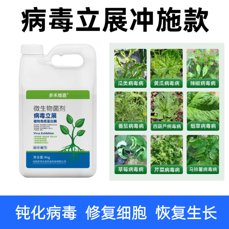 病毒病防治黄瓜西瓜辣椒草莓番茄病毒病专用药花叶病病毒水溶肥