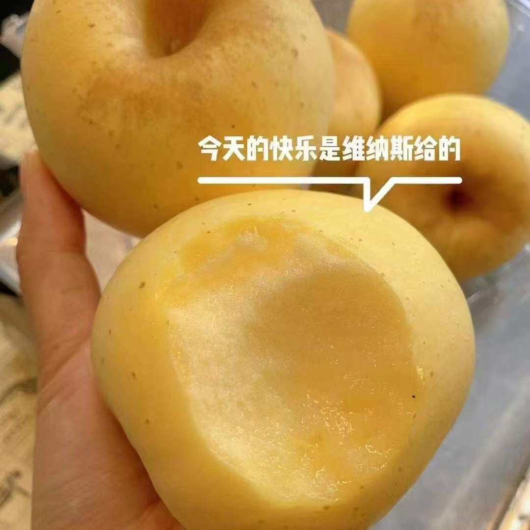 维纳斯苹果上海市