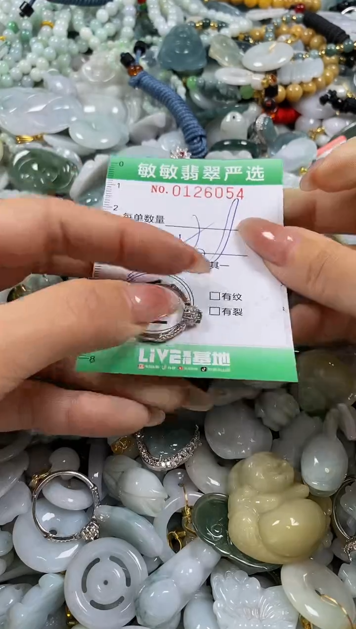 【闪购商品】翡翠颈饰未镶嵌闪购0126054多样性发其一