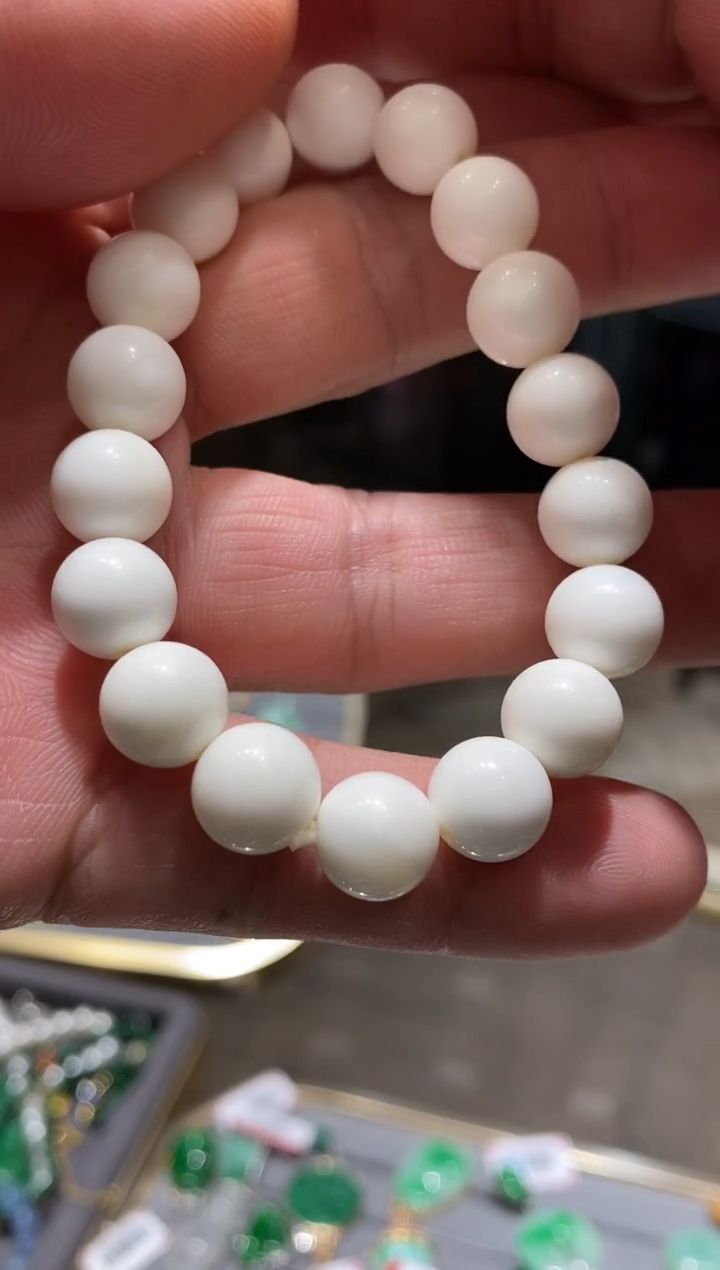 【闪购商品】贝壳（贝母）10未镶嵌亏米福利10+