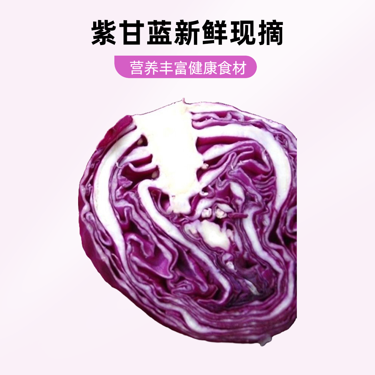 紫甘蓝550g-600g/份