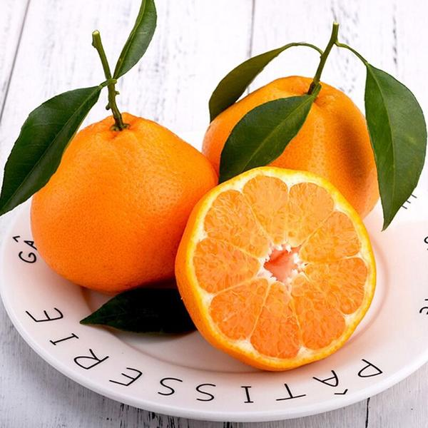 爆汁耙耙柑一箱5斤左右