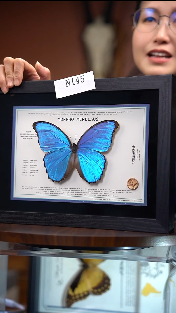 N145      大蓝闪      微瑕拍下不退不换