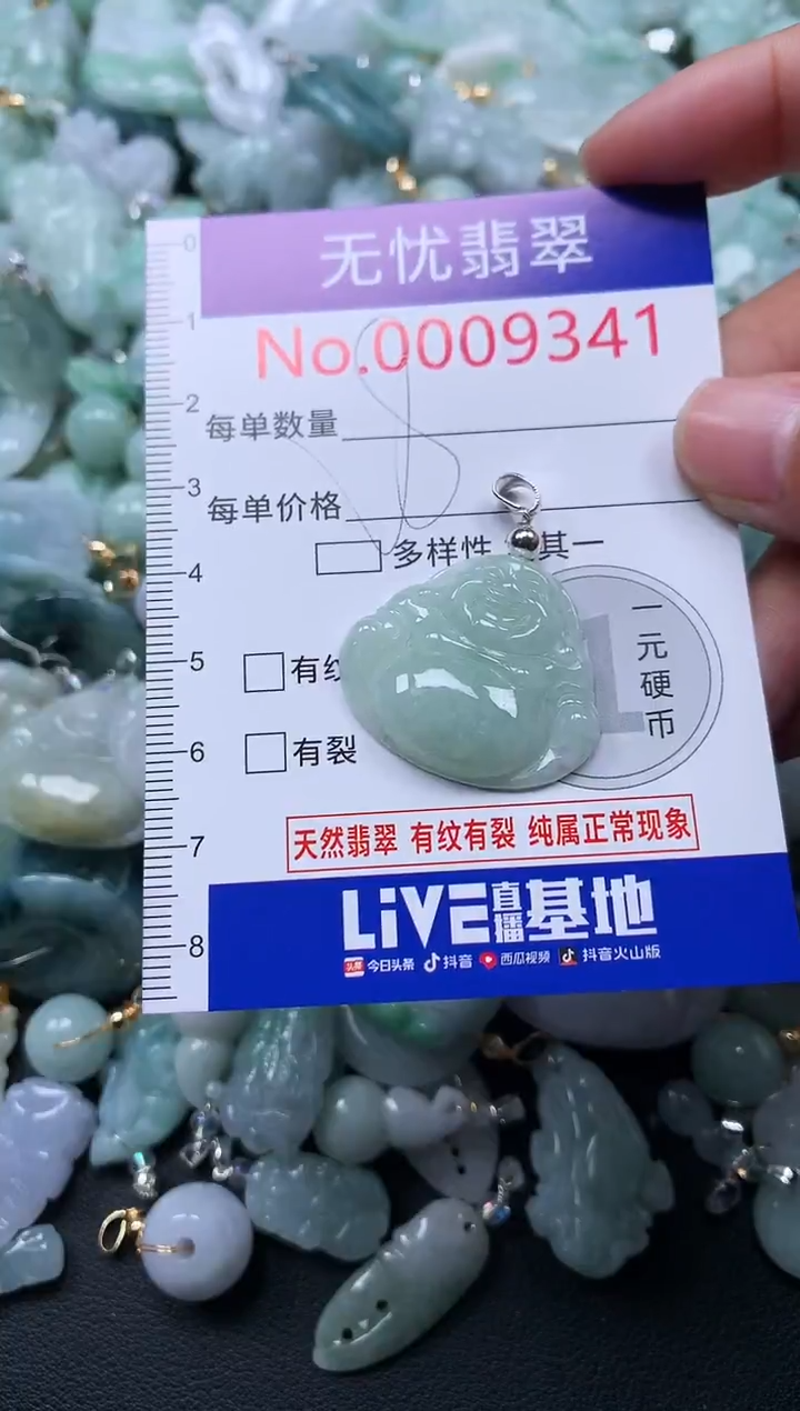 颈饰未镶嵌翡翠9341