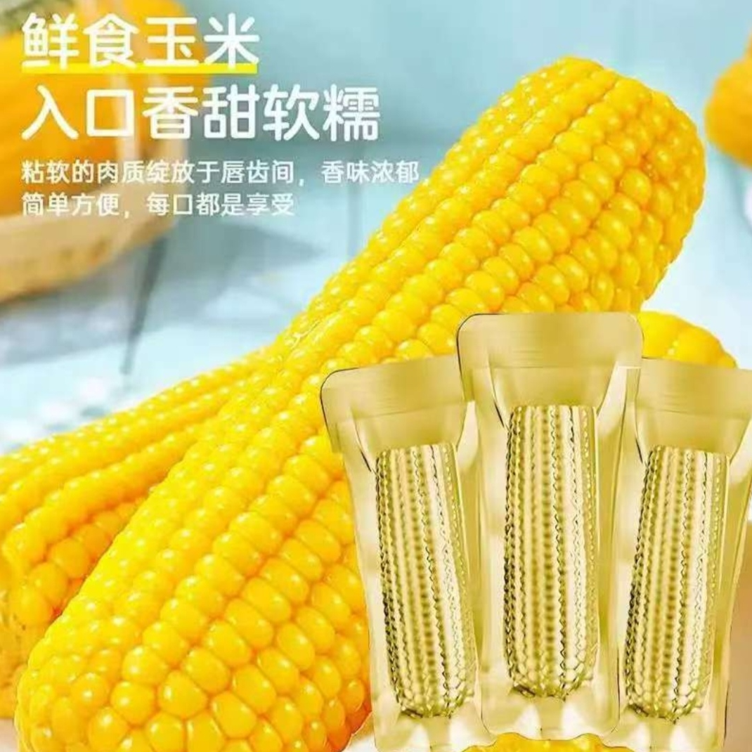 【铝箔12根】东北黄香糯玉米甜糯260-320g试吃3根整箱7-8斤