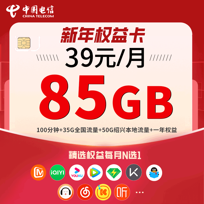 CHINA TELECOM/中国电信电信2025新年权益卡-39元/月
