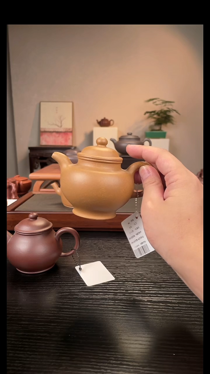 紫砂其他蓝****蓝Aa3876----戴良琴-小掇只-黄金段220CC