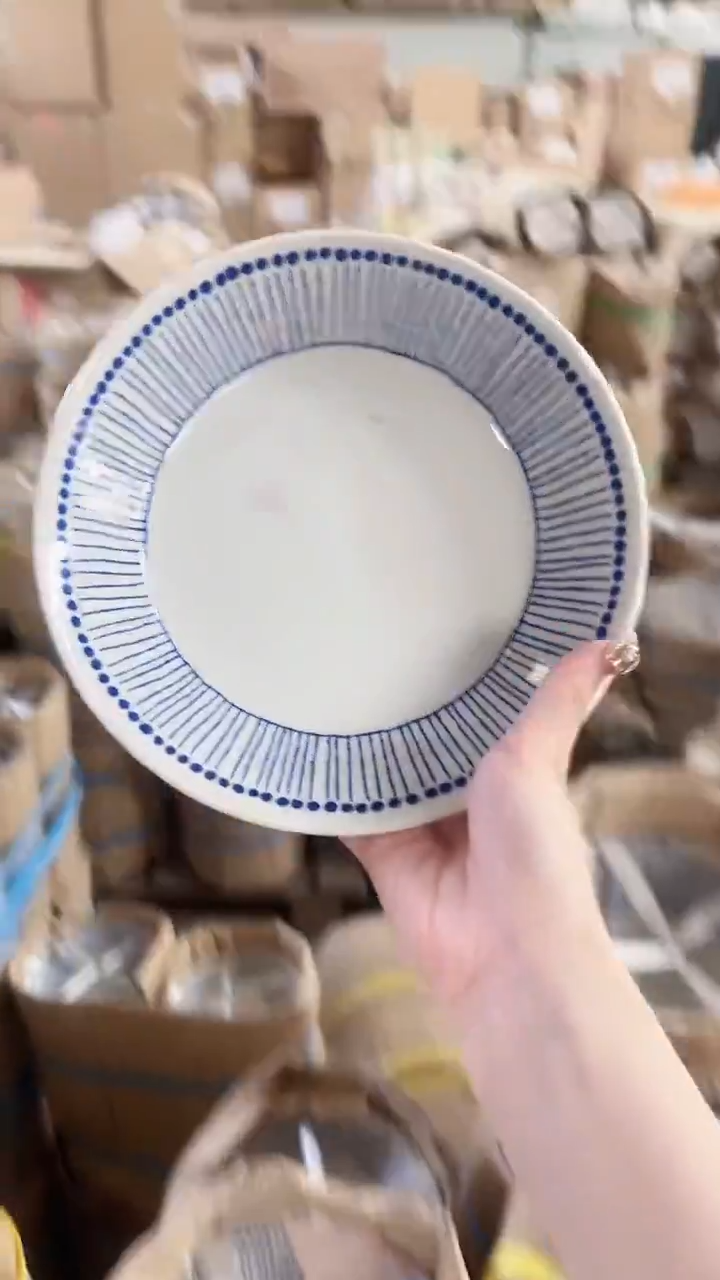 陶瓷仓十草斗笠碗22cm深盘两个