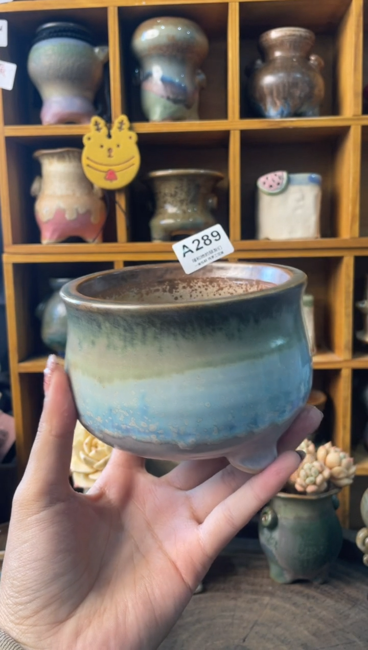 289内口9.5【多肉花盆多肉盆】