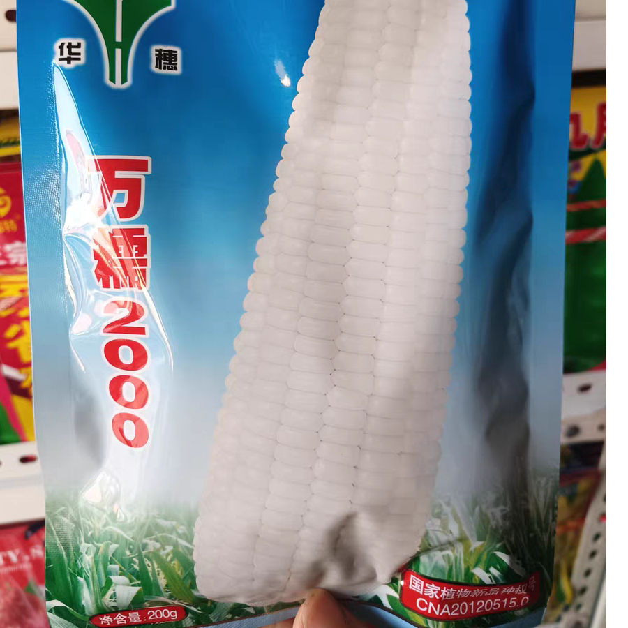 万糯2000白甜糯玉米种子