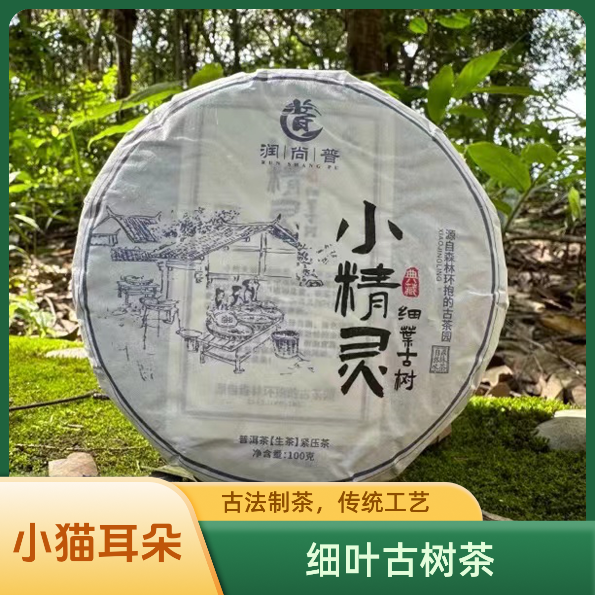 生茶2024年小猫耳朵头春小精灵古树普洱茶100g普洱茶