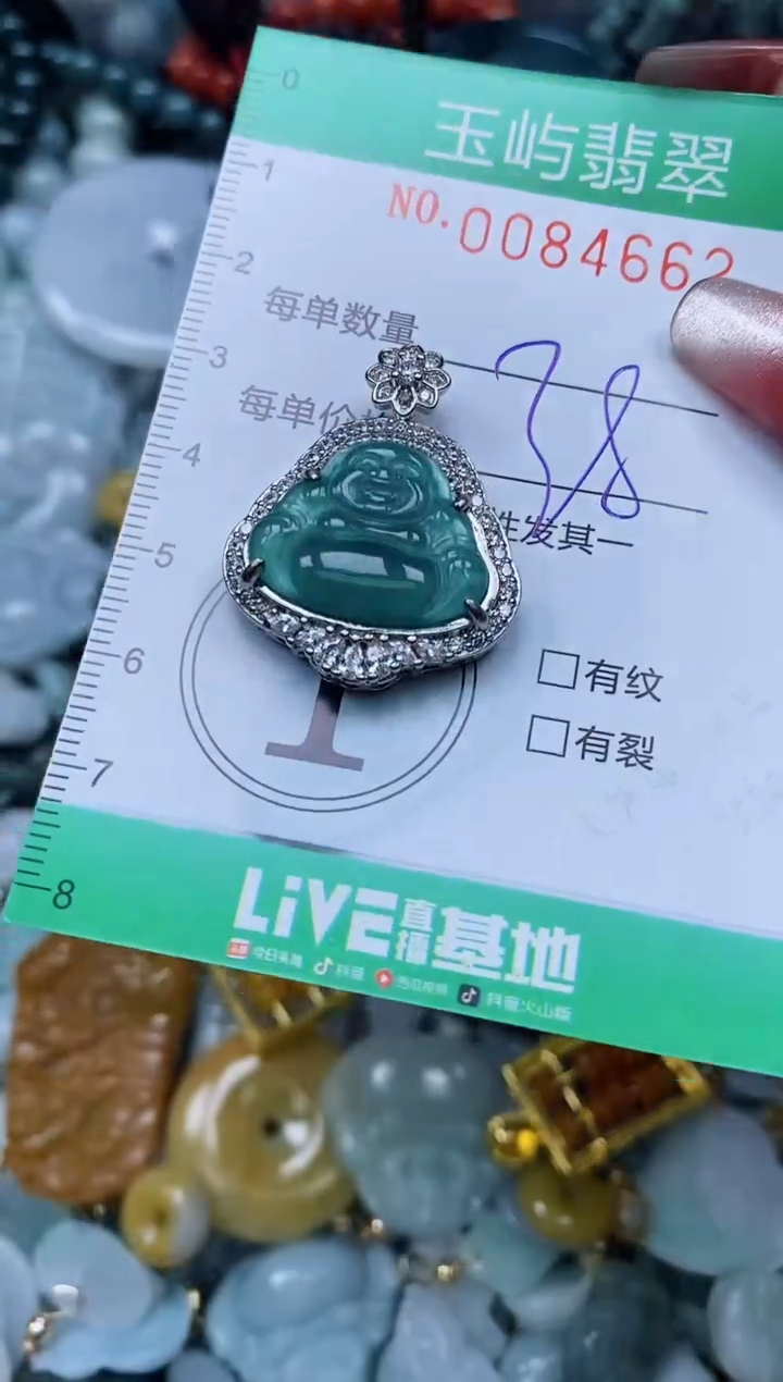 【闪购商品】翡翠颈饰未镶嵌闪购0084662