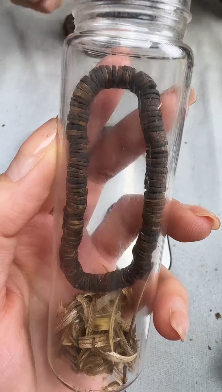 沉香沉香碎屑0604紫棋片静静沉香甄选多样性发一