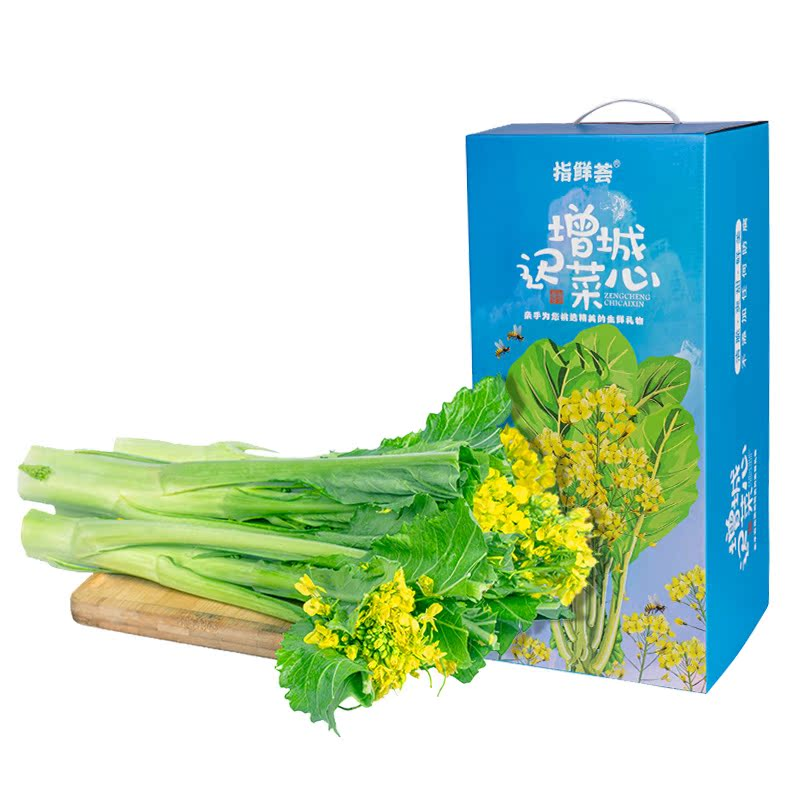 精品装正宗增城迟菜心新鲜高脚菜心特产蔬菜精品特选礼盒装顺丰
